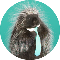 Quigley porcupine Quility Insurance