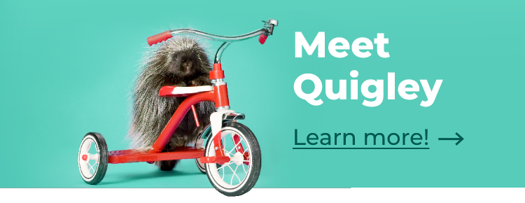 Quigley porcupine Quility Insurance