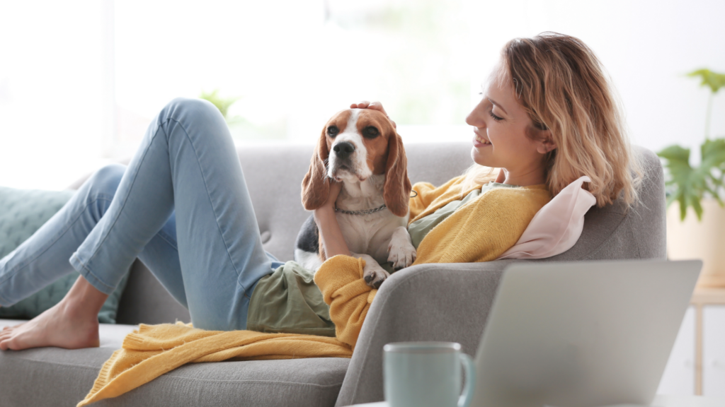 woman laying on couch petting her beagle dog