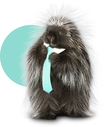 Quility Insurance porcupine mascot Quigley standing in front of a light blue backdrop