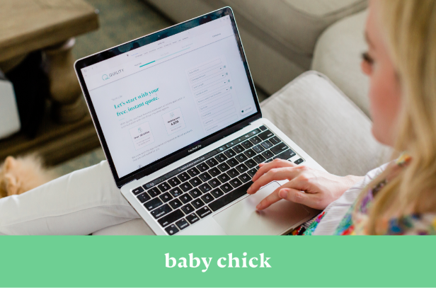 Quility Insurance featured in Baby Chick