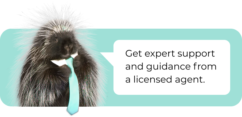 Quility mascot Quigley says "get expert support and guidance from a licensed agent"